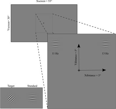 Neural Correlates of Visuospatial Attention to Unseen Stimuli in Hemianopic Patients. A Steady-State Visual Evoked Potential Study